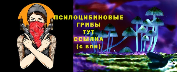 таблы Армянск